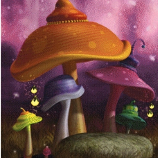 Mushrooms 60cm x 80cm - 180 colors